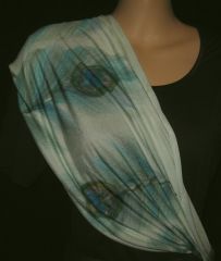 Click for larger image.